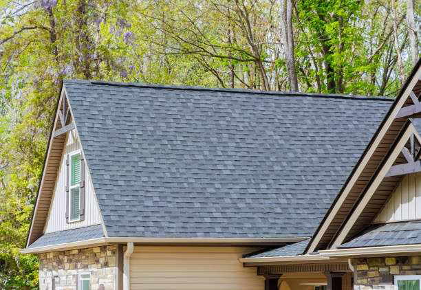 4 Ply Roofing in Lake Panasoffkee, FL